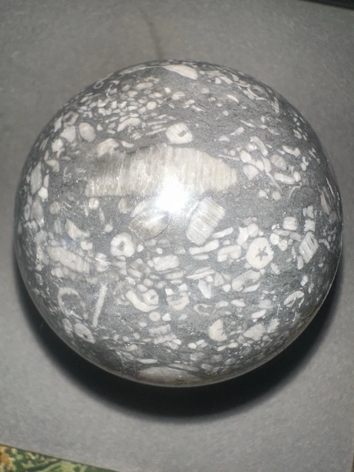 GENUINE Crinoid Fossils Sphere. Rare Find, One-of-a-kind - Image 2 of 4