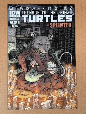 Teenage Mutant Ninja Turtles Microseries #5 A David Petersen (IDW 2012)