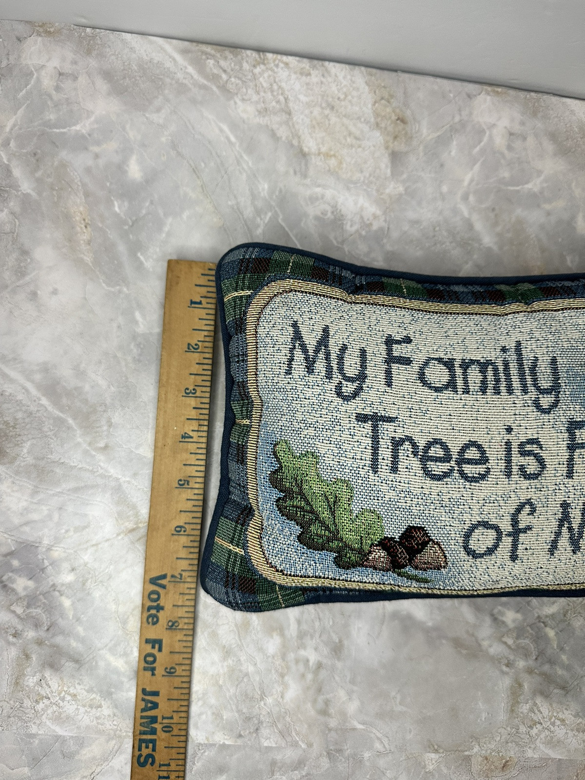 Decorative Accent Pillow  My Family Tree is Full of Nuts