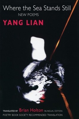 Where the Sea Stands Still by Yang Lian (Paperback Book)