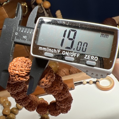 21×19mm Super Quality Rudraksha Bracelet 21mm 五星老树蜂王👑大金刚菩提手串 - Picture 13 of 14