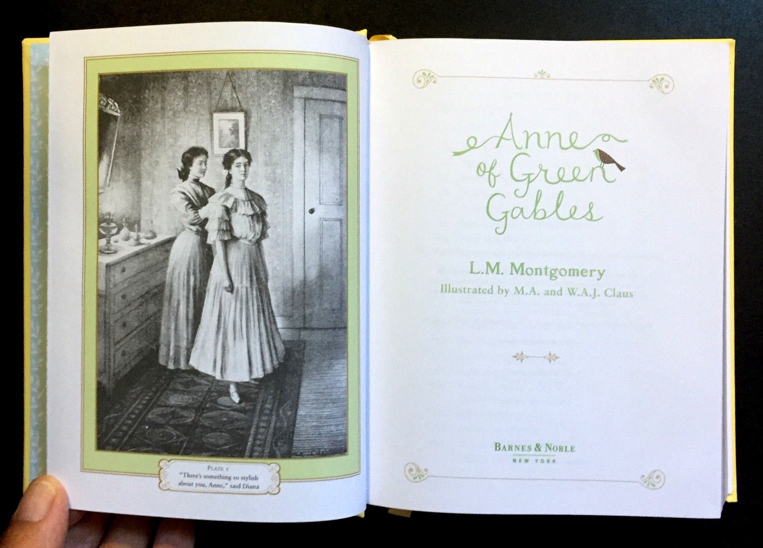 Anne Of Green Gables Barnes Noble Leatherbound For Sale Online