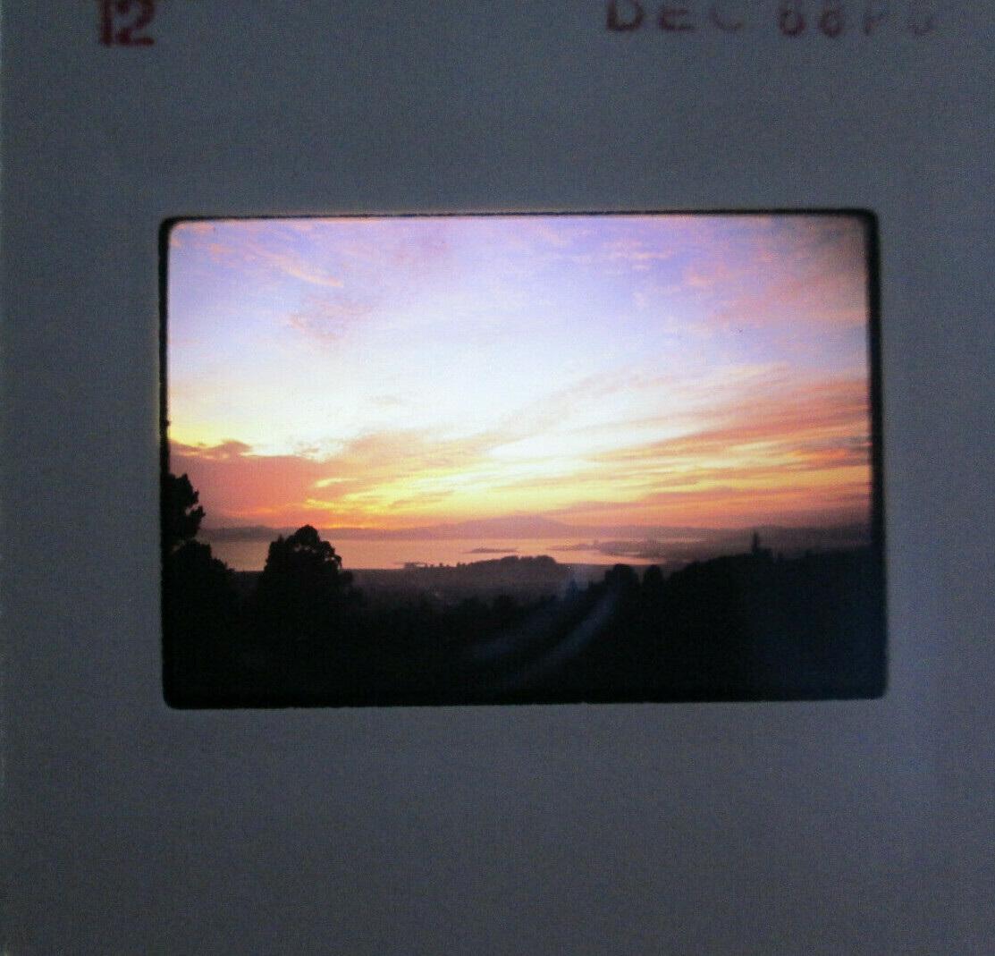 Picture 10 of 12