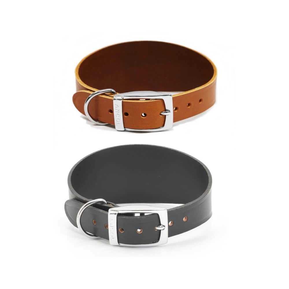 Ancol hotsell greyhound collar