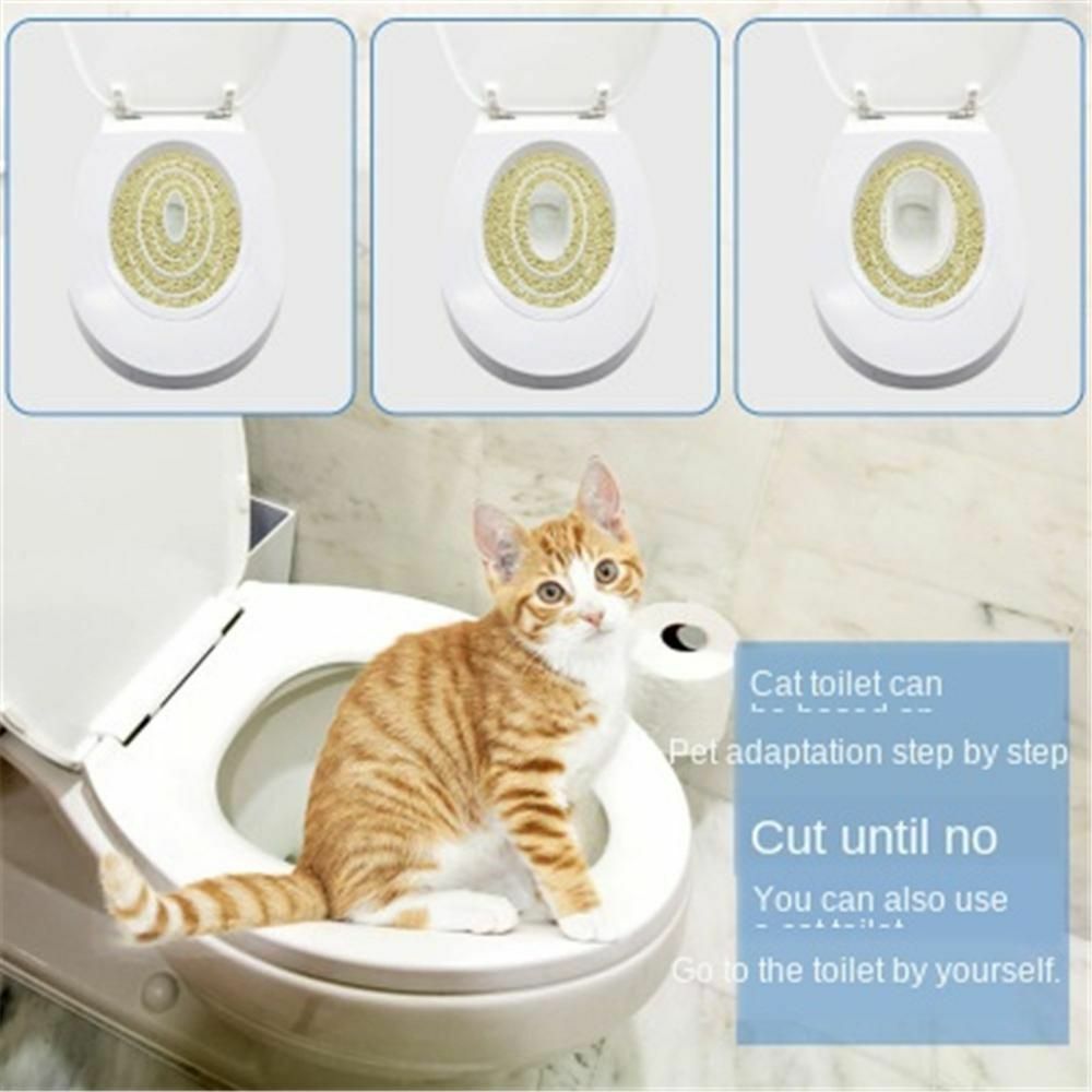 cat restroom