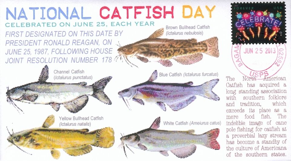 13周年記念イベントが COVERSCAPE computer 【73%OFF!】 designed June 25th Catfish 