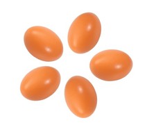 5 Pcs Wooden Fake Eggs Dummy Nest Eggs for Nesting Box Help Laying Hen