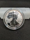 2006-P Reverse Proof Silver Eagle