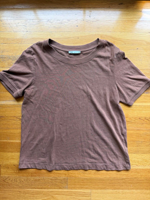 Zara Brown Crewneck T-Shirt   Size L