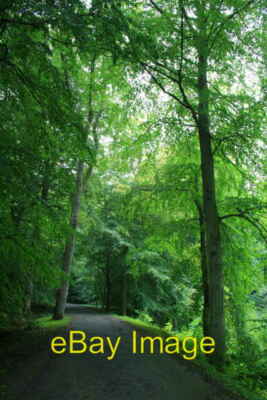 Photo 6x4 By Wallington Garden Pond Cambo The wet weather brings out the  c2008
