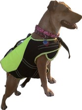 Arcadia Trail High Visibility Żółta flotacja psa Kamizelka ratunkowa Żółta Pasuje Średni