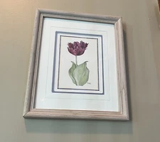 Paul Brent Magenta Tulip Watercolor Signed Framed & Matt 11”x9”