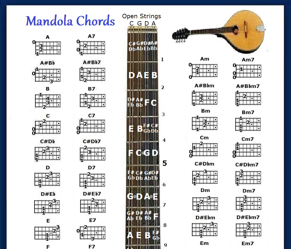 MANDOLA CHORDS CHART &amp; NOTE LOCATOR - SMALL | Grelly UK