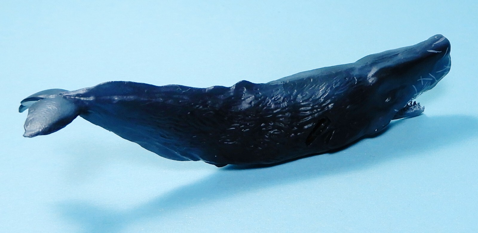 Picture 4 of 6