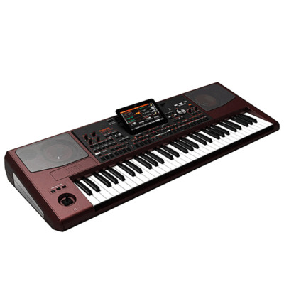 Korg Pa1000 61-Key Pro Arranger with Speakers