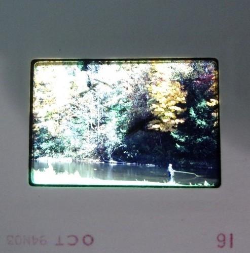 6 Original Vintage 35mm Kodak Photo Color Slide Nature Kodachrome Transparency - Picture 7 of 9