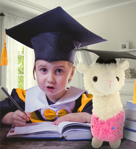 DolliBu Sparkle Llama Graduation Plush Toy with Graduation Gown & Cap - 11.5" - Picture 6 of 6