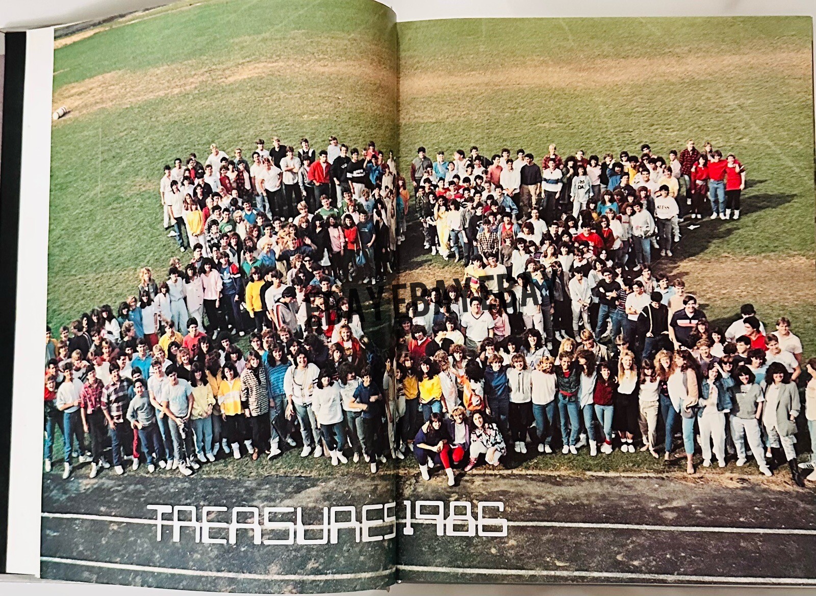 Picture 9 of 10