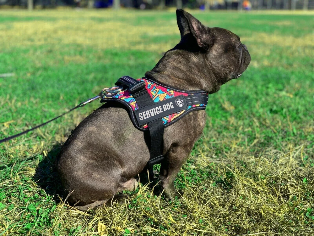 Adjustable Reflective No-Pull Dog Harness Vest for Outdoor Service Pets Size L