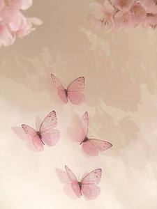 girls butterfly bedroom