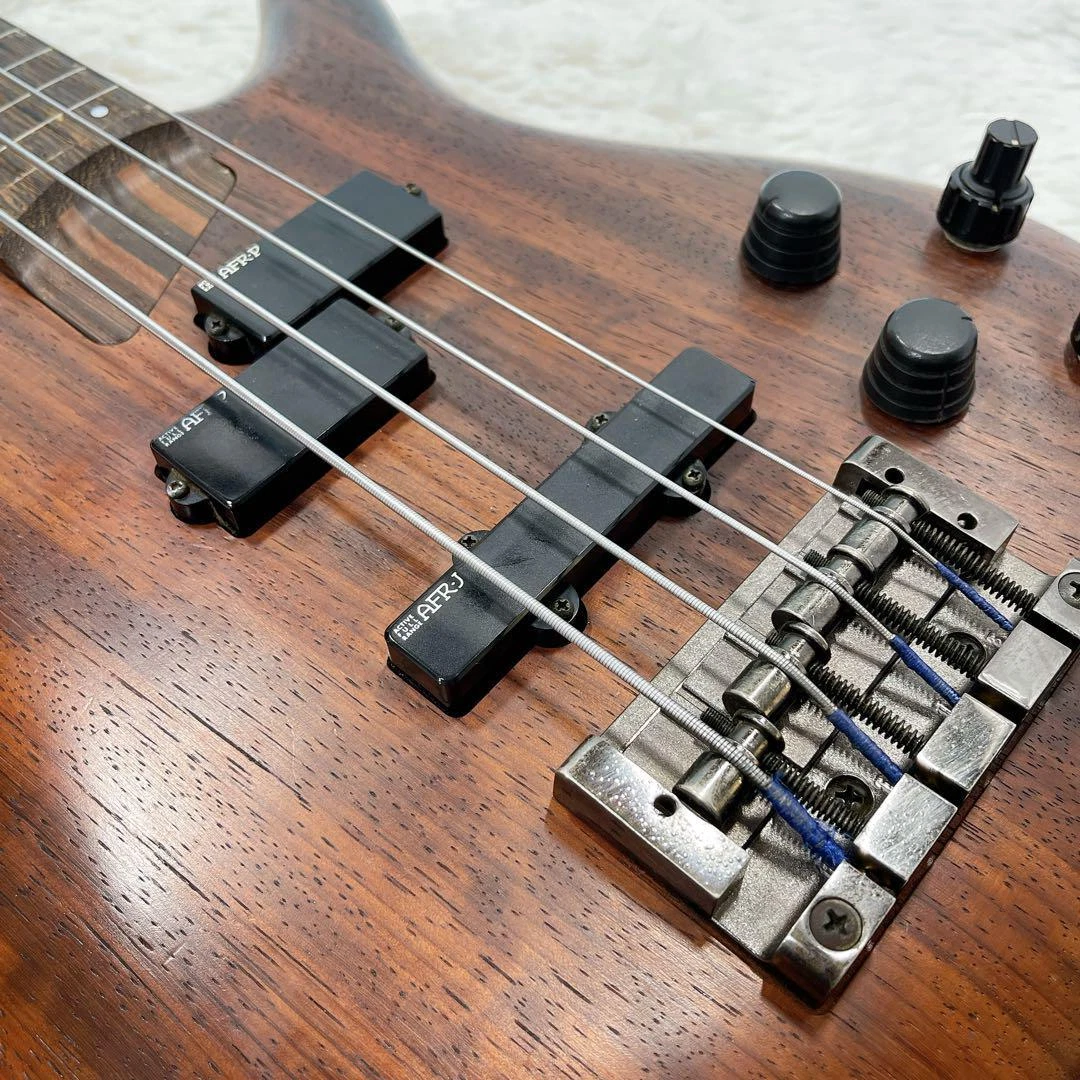 Ibanez ex series fretless guitar deals