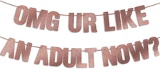 18Th Birthday Decorations for Girls, Pre-Strung OMG UR like an ADULT NOW Banner 