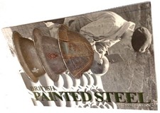 British Painted Stee (Lock / Fisher)
