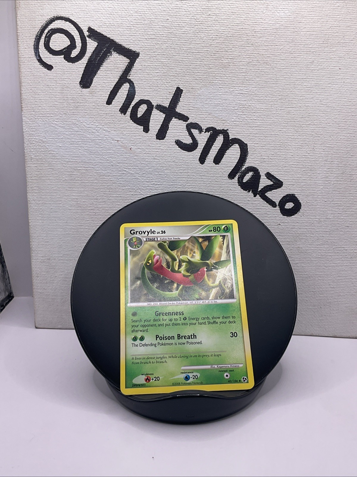 Grovyle 40/106 Great Encounters Regular