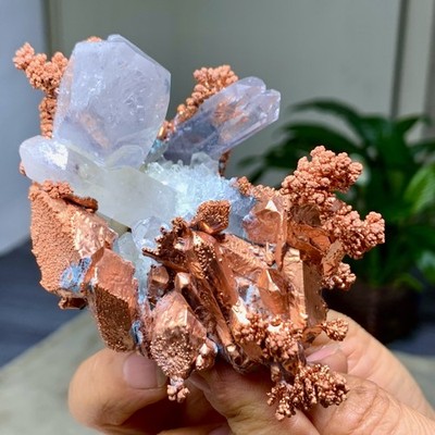 309G  Rare!! iridescent Native Copper crystal mineral specimen
