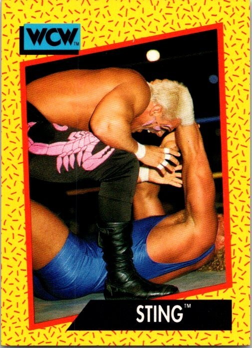 1991 Impel WCW Sting #6