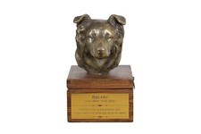 Border Collie - urn for dog ashes with a statuette, small urn for a dog, persona