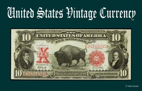 Tin Sign 8 x 12 - 10 Dollar Bill Vintage 1800s Wall Mount with Buffalo Art