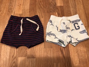 baby boy cotton shorts