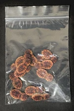 2011 ELDER SIGN Game Replacement 15 Clue Token Parts Fantasy Flight Games