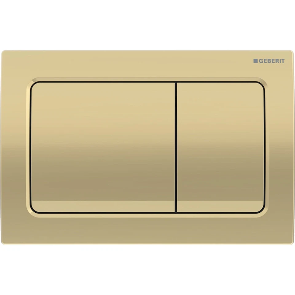 Anas Magda Rimless Pan With Geberit Duofix Alpha01 Wc Frame Brass Flush Plate 45 - Image 3 of 4