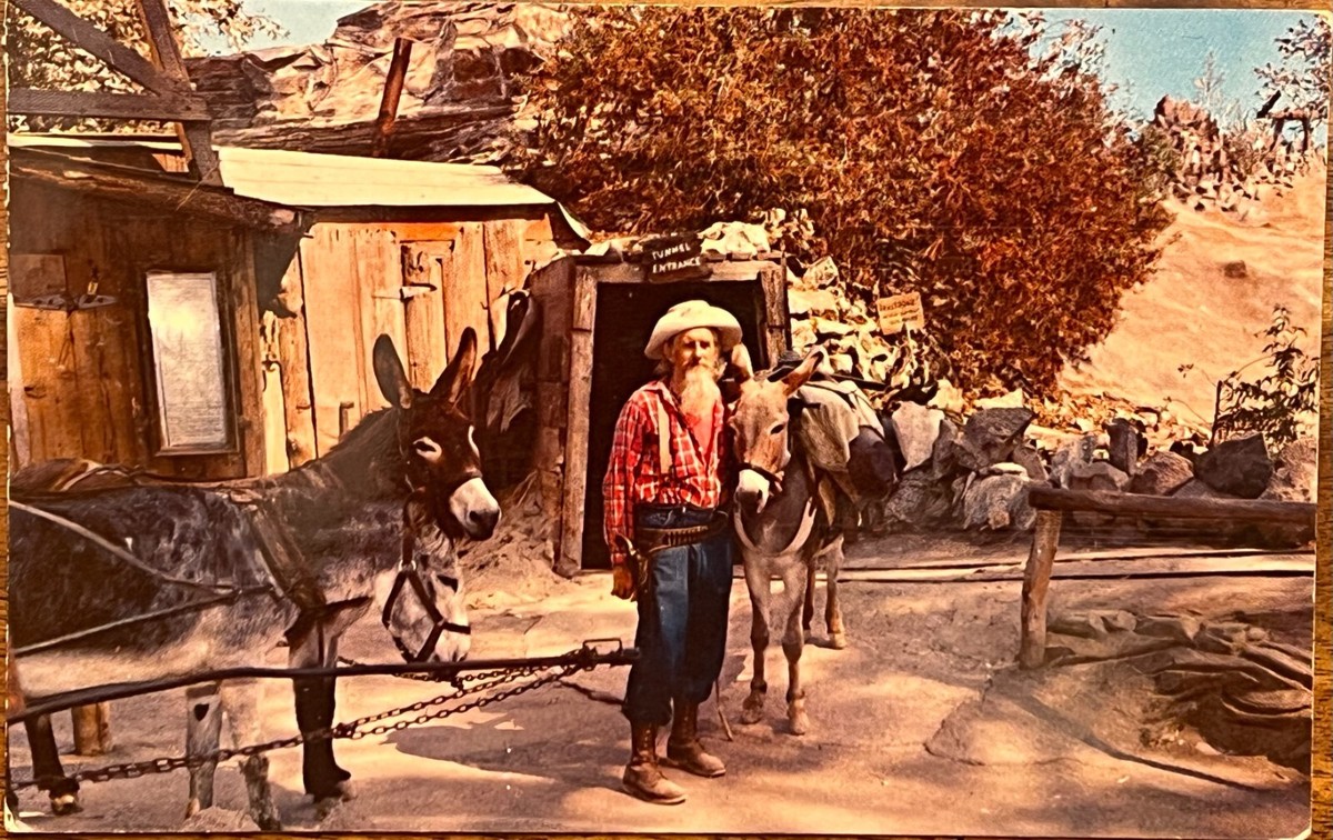 ブランケット Berry’s forest, Ghost’s castle Amazon.com: Lemax The Candy Witch Cottage, Battery Operated