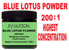 Blue Lotus Flower / Nymphaea Caerulea Powder 200:1 Great  Strong