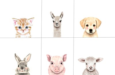 farm animal nursery prints