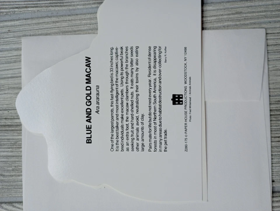 New Unused Blank Note/All-occasion Greeting Cards, Lot Of 7 W/Envelopes Parakeet - Image 3 of 4