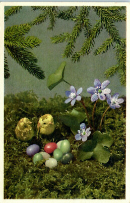 1940s Easter Flowers Eggs Two Chicks Thor Gyger Adelboden Photo Postcard