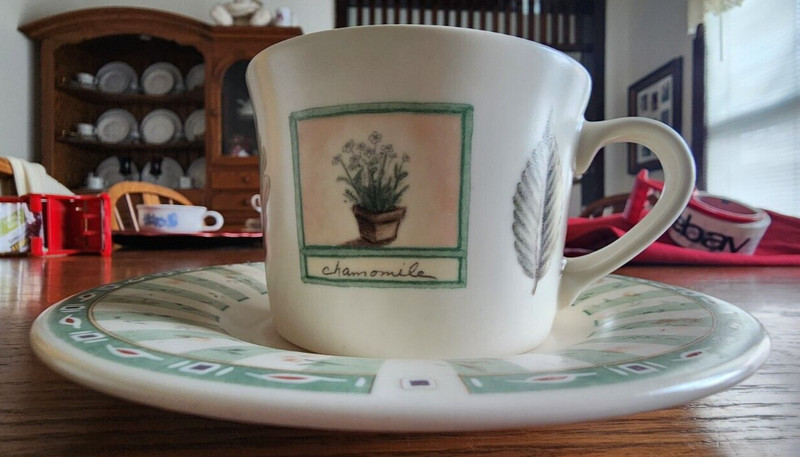 Naturewood Cup (flat) Saucer Set Pfaltzgraff Portfolio Stoneware Green White !