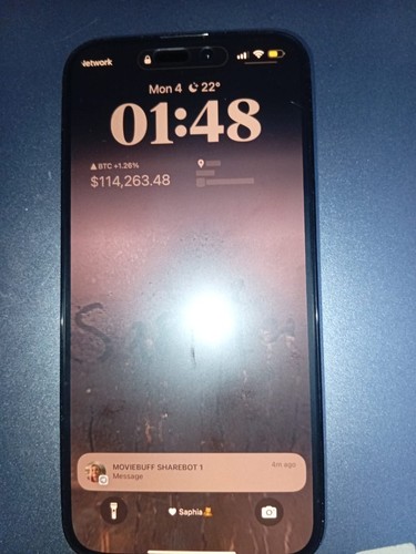 Apple iPhone 14 Pro Max - 256 GB - Space Black (Unlocked)
