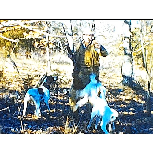 Vintage 8mm Film Home Movie 1950s Hunting With Ray And Lefty, Tractor - Picture 5 of 8
