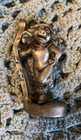 Pewter 1981 Miss Piggy Queen of the Slopes Ski Figure 2 “ — photo 1