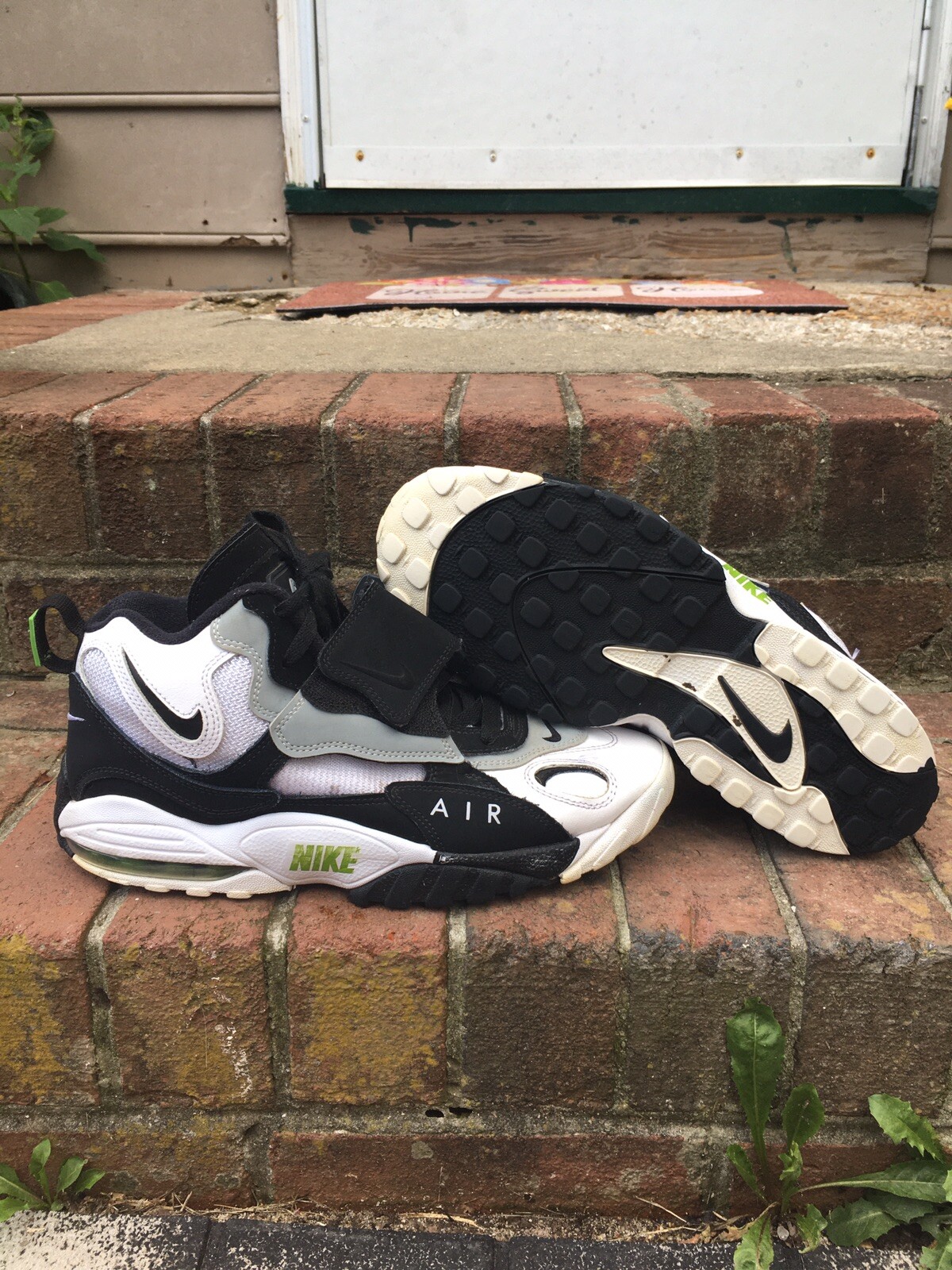 speed turf chlorophyll