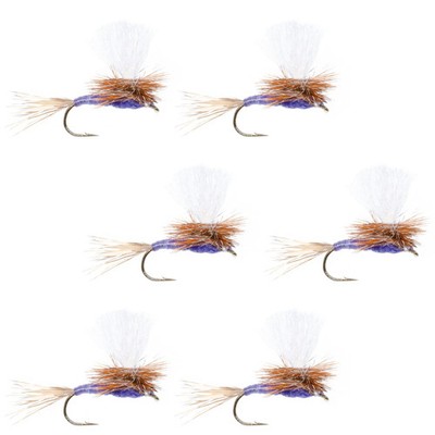 Parachute Purple Haze Dry Fly - 6 Flies Size 18