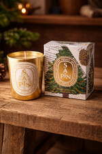 Diptyque re-poured candle 190g
