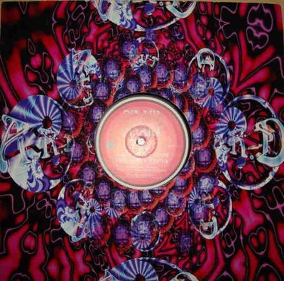Binary Finary - 1998 / Zapya - UK 12'' Vinyl - 1997 - Aquarius