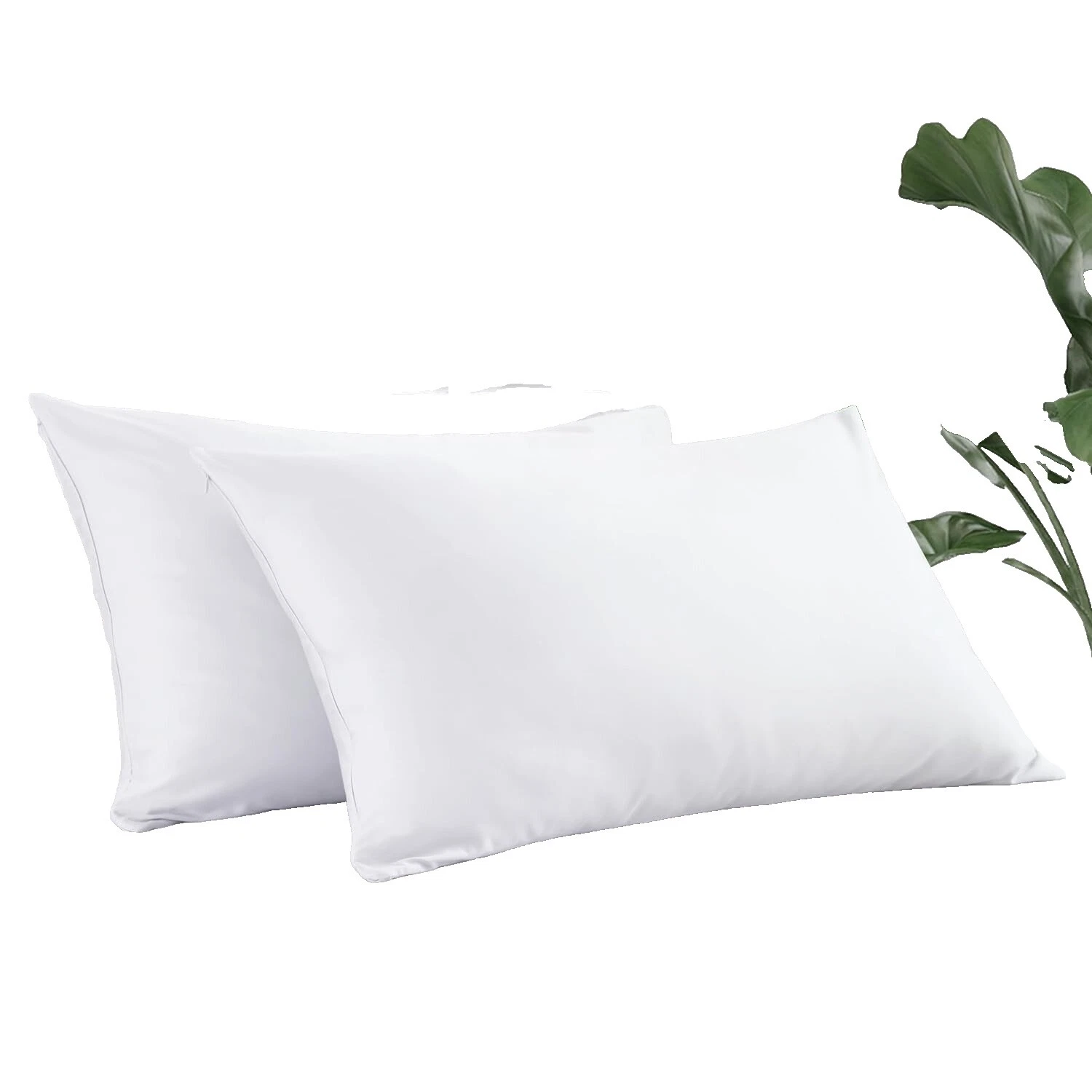 Fundas de almohada blanca de algodón egipcio