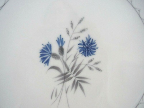 2 Bing & Grondahl Cornflower Blue Edge Dinner Plates- Excellent! - Picture 3 of 7
